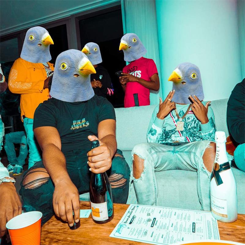 Pigeon mask costume novelty Ha - огляд і ціна Skincare Pigeon