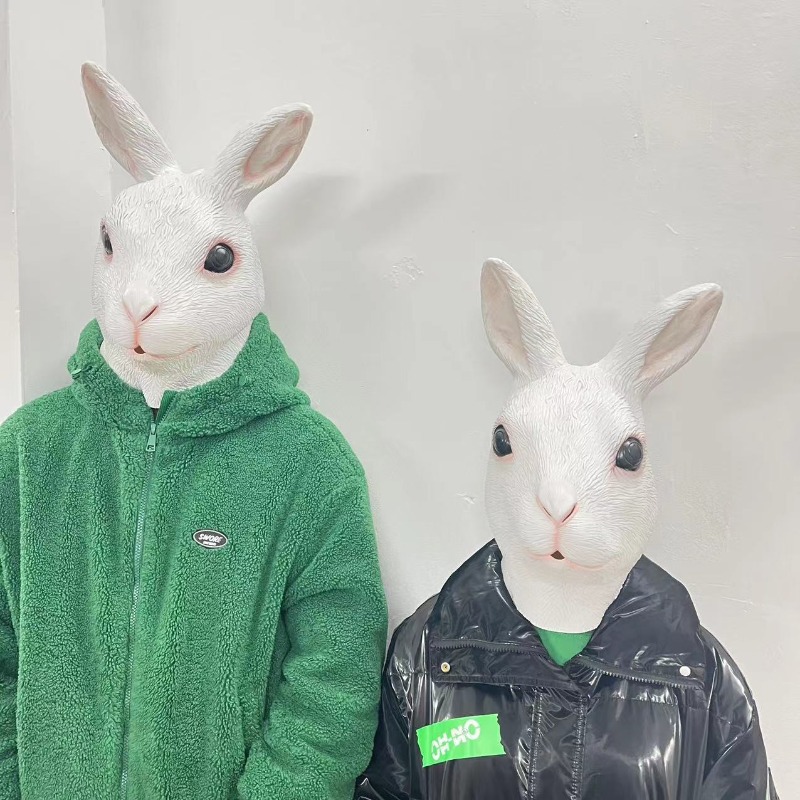 Put on Masks, Animal Headgear, - огляд і ціна Skincare Pigeon